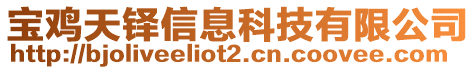 寶雞天鐸信息科技有限公司