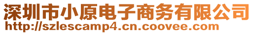 深圳市小原電子商務有限公司