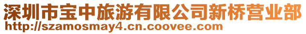 深圳市宝中旅游有限公司新桥营业部