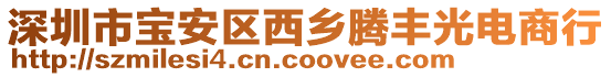 深圳市寶安區(qū)西鄉(xiāng)騰豐光電商行