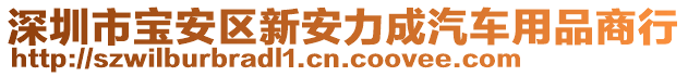 深圳市寶安區(qū)新安力成汽車用品商行