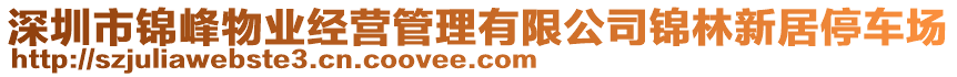 深圳市錦峰物業(yè)經(jīng)營管理有限公司錦林新居停車場