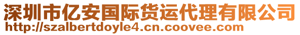 深圳市億安國(guó)際貨運(yùn)代理有限公司