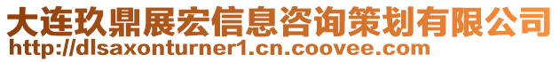 大連玖鼎展宏信息咨詢策劃有限公司