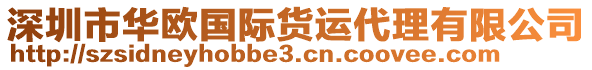 深圳市華歐國際貨運(yùn)代理有限公司