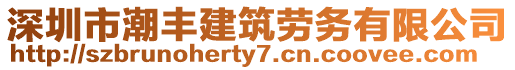 深圳市潮丰建筑劳务有限公司