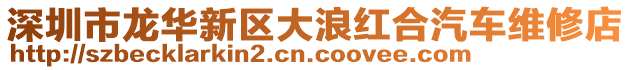 深圳市龍華新區大浪紅合汽車維修店