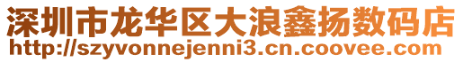 深圳市龍華區(qū)大浪鑫揚(yáng)數(shù)碼店