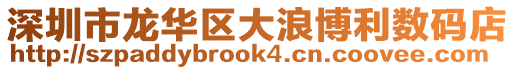 深圳市龍華區(qū)大浪博利數(shù)碼店