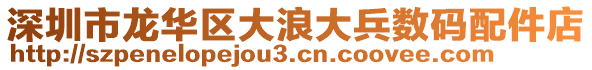 深圳市龍華區大浪大兵數碼配件店