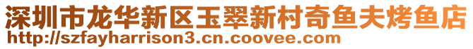 深圳市龍華新區玉翠新村奇魚夫烤魚店