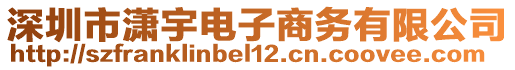 深圳市瀟宇電子商務有限公司