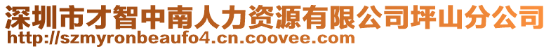 深圳市才智中南人力資源有限公司坪山分公司