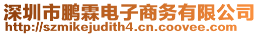 深圳市鵬霖電子商務(wù)有限公司