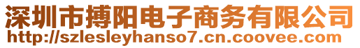 深圳市搏陽電子商務(wù)有限公司