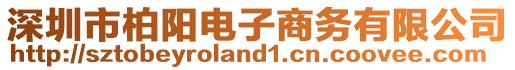 深圳市柏陽電子商務(wù)有限公司