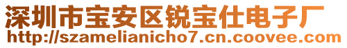 深圳市寶安區(qū)銳寶仕電子廠