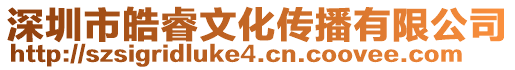 深圳市皓睿文化傳播有限公司