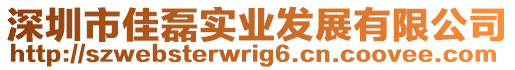 深圳市佳磊實業發展有限公司
