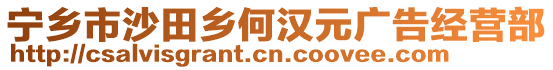 寧鄉(xiāng)市沙田鄉(xiāng)何漢元廣告經(jīng)營(yíng)部