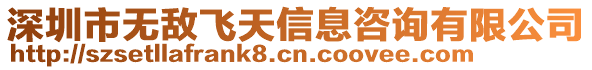 深圳市無敵飛天信息咨詢有限公司