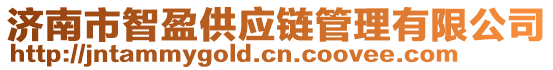 濟(jì)南市智盈供應(yīng)鏈管理有限公司