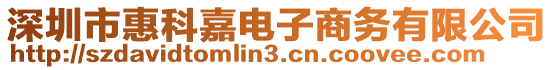 深圳市惠科嘉電子商務(wù)有限公司