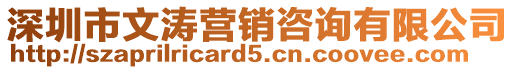 深圳市文濤營銷咨詢有限公司