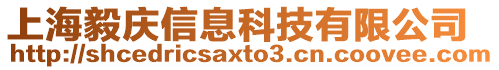 上海毅慶信息科技有限公司