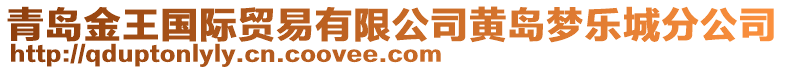 青岛金王国际贸易有限公司黄岛梦乐城分公司