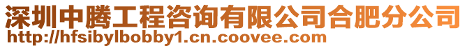 深圳中騰工程咨詢有限公司合肥分公司