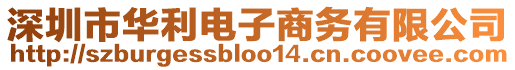 深圳市華利電子商務(wù)有限公司