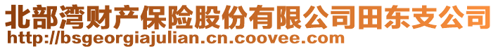 北部湾财产保险股份有限公司田东支公司