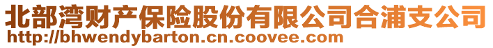 北部灣財產保險股份有限公司合浦支公司