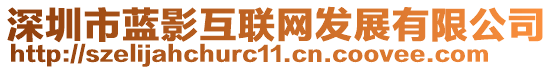 深圳市藍(lán)影互聯(lián)網(wǎng)發(fā)展有限公司