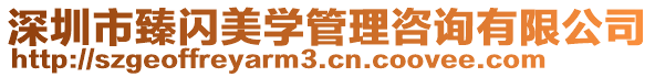 深圳市臻閃美學(xué)管理咨詢有限公司