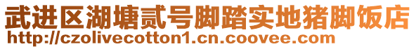 武进区湖塘贰号脚踏实地猪脚饭店