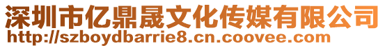 深圳市億鼎晟文化傳媒有限公司