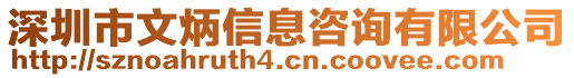 深圳市文炳信息咨詢有限公司