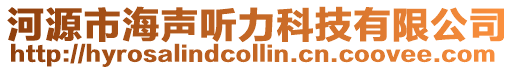 河源市海声听力科技有限公司