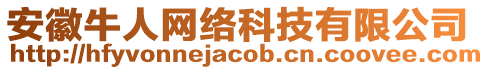 安徽牛人網(wǎng)絡(luò)科技有限公司