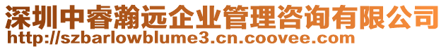 深圳中睿瀚遠企業管理咨詢有限公司