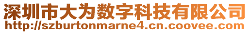 深圳市大为数字科技有限公司