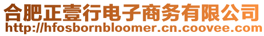 合肥正壹行電子商務有限公司