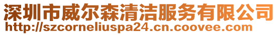 深圳市威爾森清潔服務(wù)有限公司