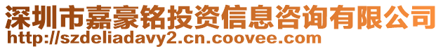 深圳市嘉豪銘投資信息咨詢有限公司