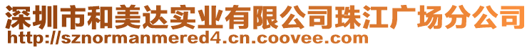 深圳市和美達(dá)實(shí)業(yè)有限公司珠江廣場(chǎng)分公司