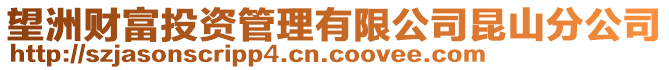 望洲財富投資管理有限公司昆山分公司