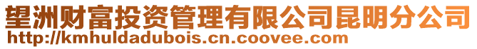 望洲財富投資管理有限公司昆明分公司