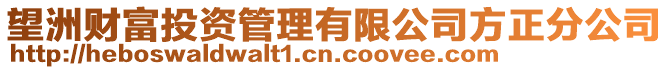 望洲财富投资管理有限公司方正分公司